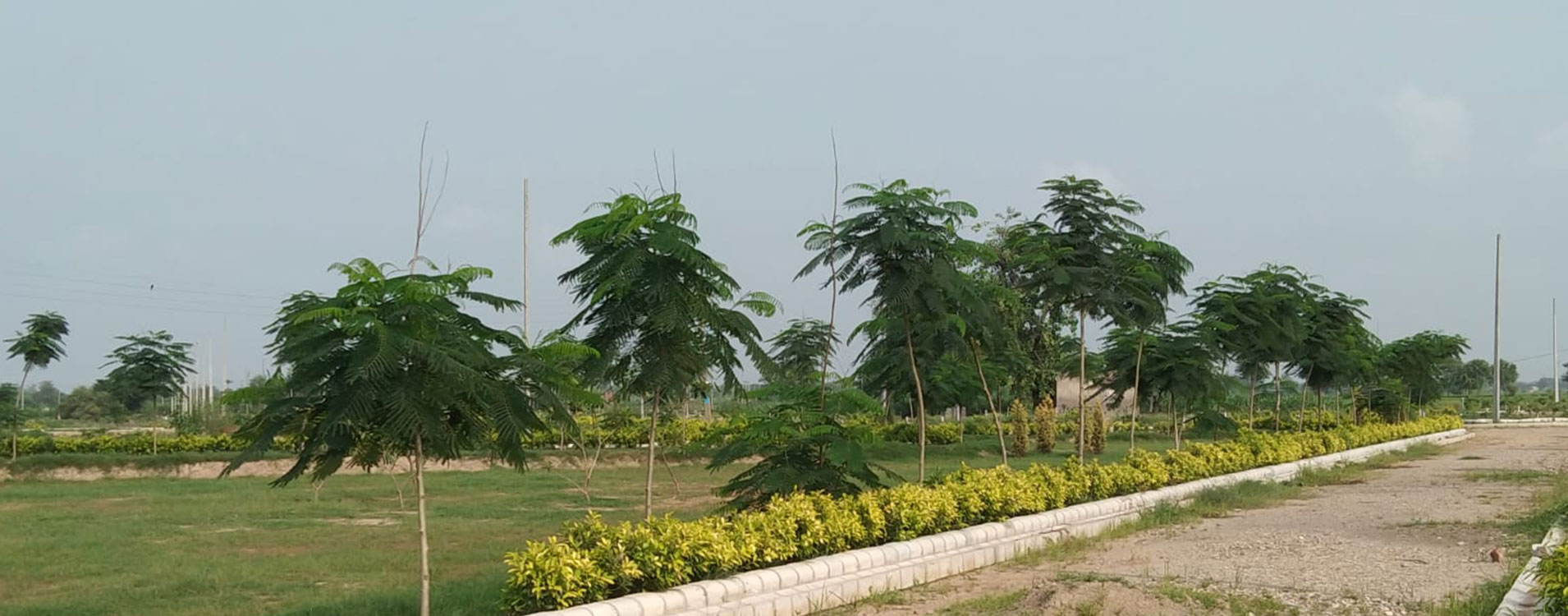 Green circle homes