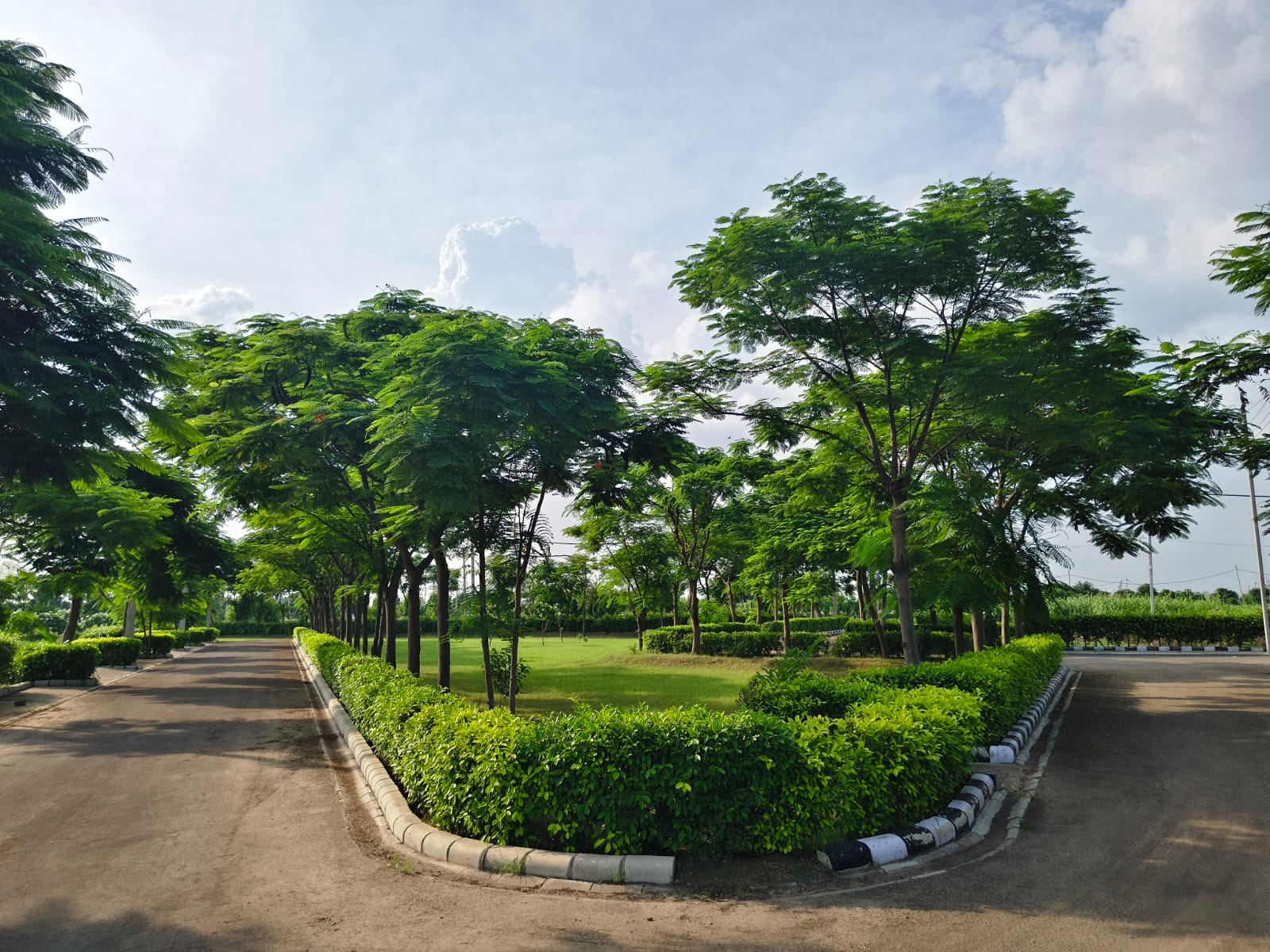 Green Circle Homes, Ambala – tree-lined lawn with trimmed hedges